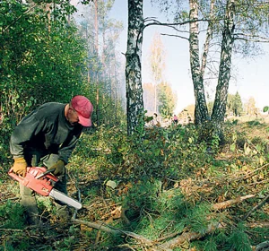 Saemees metsas võsalõikust tegemas